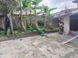 whatsapp image 2025 09 17 at 8.57.00 am (3)