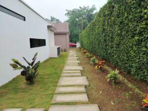 whatsapp image 2025 10 16 at 3.13.02 pm