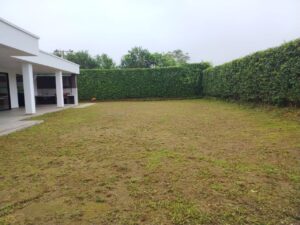 whatsapp image 2025 10 16 at 3.13.03 pm (1)