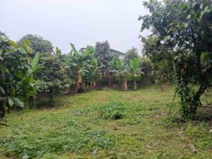 whatsapp image 2025 11 24 at 10.33.09 am