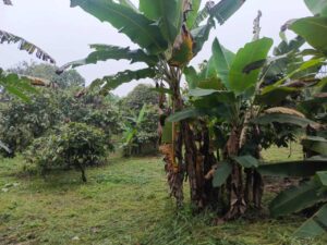 whatsapp image 2025 11 24 at 10.33.37 am