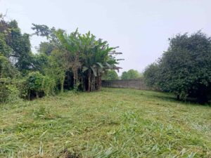 whatsapp image 2025 11 24 at 10.33.42 am