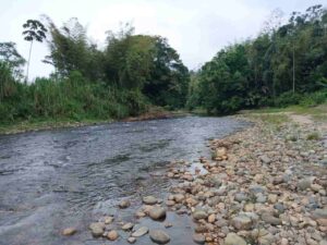 whatsapp image 2025 11 26 at 2.13.18 pm