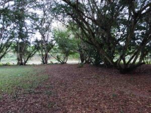 whatsapp image 2025 11 26 at 2.13.19 pm