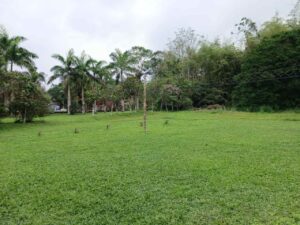 whatsapp image 2025 11 26 at 2.13.58 pm