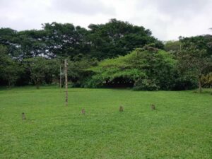 whatsapp image 2025 11 26 at 2.14.02 pm