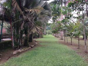 whatsapp image 2025 11 26 at 2.14.05 pm (1)