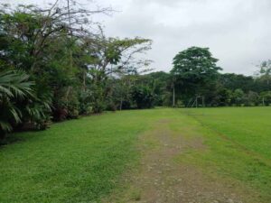 whatsapp image 2025 11 26 at 2.14.05 pm (2)