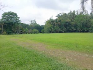 whatsapp image 2025 11 26 at 2.14.06 pm (1)