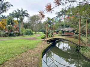 whatsapp image 2025 11 26 at 2.14.07 pm