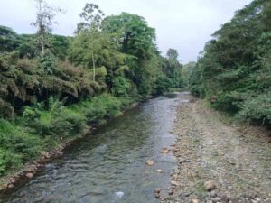 whatsapp image 2025 11 26 at 2.14.08 pm (2)