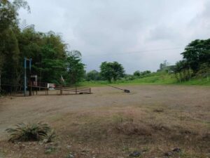 whatsapp image 2025 11 26 at 2.14.10 pm (1)