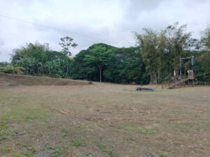 whatsapp image 2025 11 26 at 2.14.10 pm