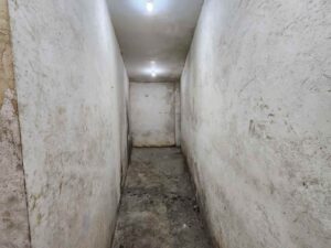 whatsapp image 2026 02 02 at 11.16.48 am (2)