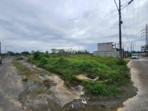 whatsapp image 2026 02 15 at 10.19.06 pm (1)