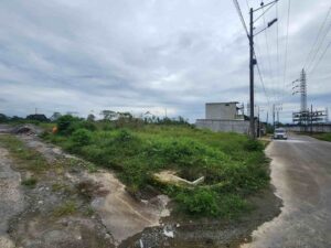 whatsapp image 2026 02 15 at 10.19.07 pm (3)