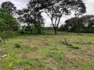 064ae46d 84a7 4b8c 9937 f09ec0caccbf