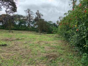 6398feec 8e51 4ca1 8c6c ab520ad3959e