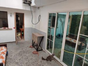 imagen de whatsapp 2025 05 12 a las 09.01.28 d49bc9d3