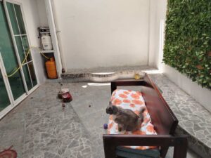 imagen de whatsapp 2025 05 12 a las 09.01.28 fc005836