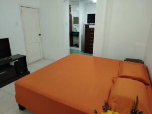 imagen de whatsapp 2025 05 12 a las 09.01.46 2fdbc34d