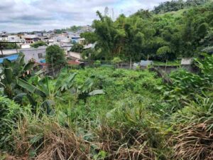 whatsapp image 2026 01 06 at 4.27.25 pm (1)