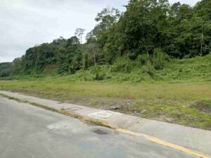 whatsapp image 2026 03 09 at 4.20.19 pm (3)