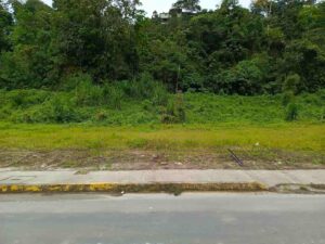 whatsapp image 2026 03 09 at 4.20.20 pm (4)