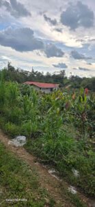 whatsapp image 2026 03 10 at 7.10.36 pm (2)