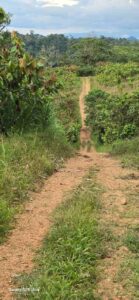 whatsapp image 2026 03 10 at 7.11.11 pm (1)