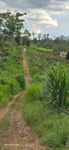 whatsapp image 2026 03 10 at 7.11.12 pm (6)