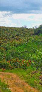 whatsapp image 2026 03 10 at 7.12.19 pm (1)