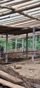 whatsapp image 2026 03 10 at 7.13.21 pm