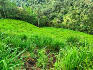 whatsapp image 2026 03 11 at 3.10.54 pm (2)