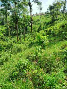 whatsapp image 2026 03 11 at 3.10.54 pm