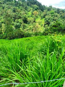 whatsapp image 2026 03 11 at 3.10.55 pm (2)