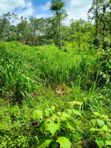 whatsapp image 2026 03 11 at 3.10.55 pm (5)