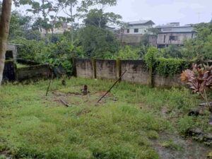 whatsapp image 2026 03 19 at 9.12.28 am (3)