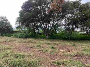 a3babcba 4d4e 46c6 afb6 3e7b1a1d3145