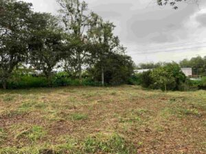 c083e9ac ecd1 4a0f 8342 12624c4f707e