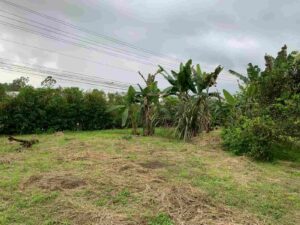 f7232b7e 98e8 4739 b0df 1d3895b61055