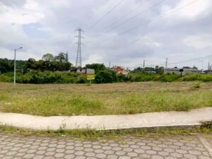 whatsapp image 2026 04 10 at 12.52.13 pm