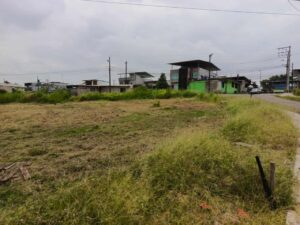 whatsapp image 2026 04 10 at 12.53.03 pm