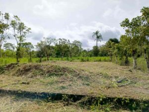 whatsapp image 2026 04 20 at 12.25.38 pm (1)