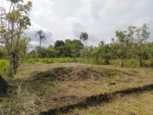 whatsapp image 2026 04 20 at 12.25.38 pm