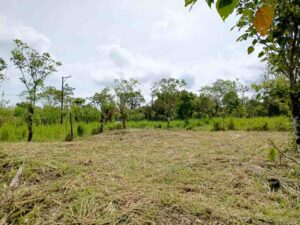 whatsapp image 2026 04 20 at 12.25.40 pm