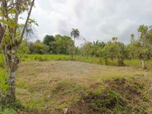 whatsapp image 2026 04 20 at 12.25.55 pm